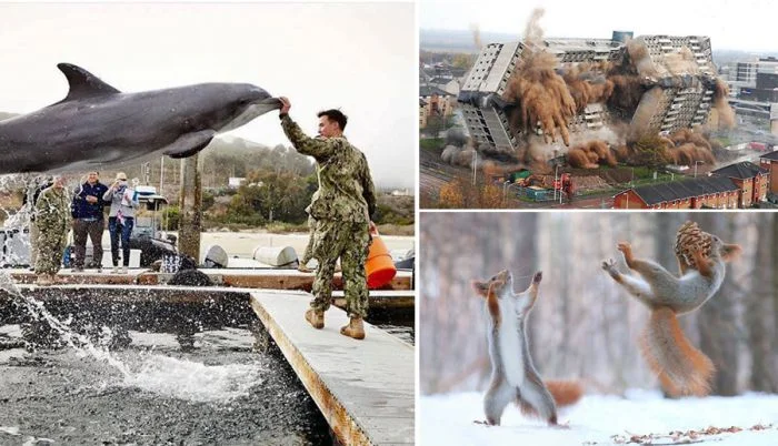 Снимки, поймавшие момент: 30 фотографий, сделанных в нужное время