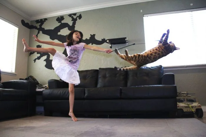 Снимки, поймавшие момент: 30 фотографий, сделанных в нужное время