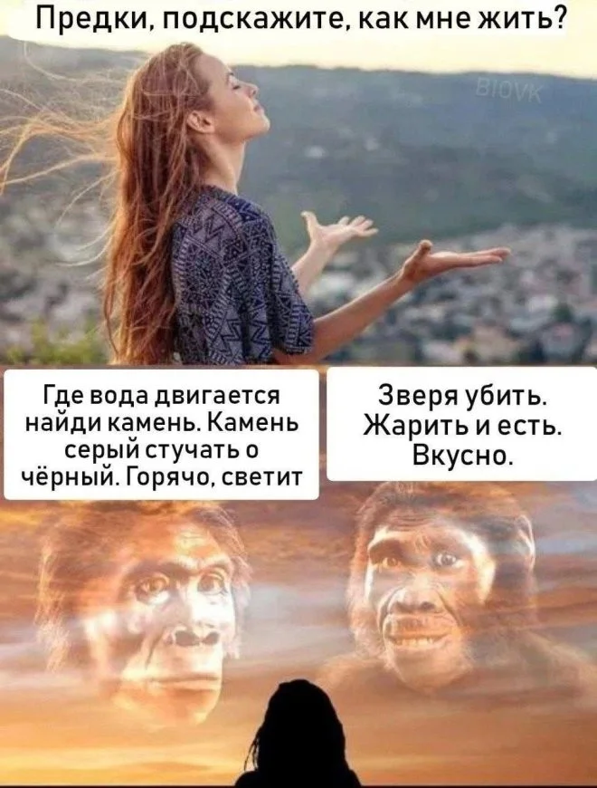 Свежие скрины из соцсетей