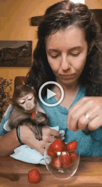 Новые просто гифки