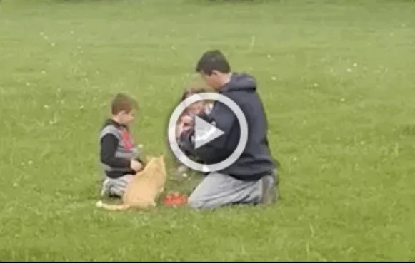 Свежие ГИФки