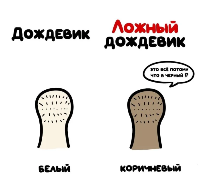 Знай разницу! Различий пост #14