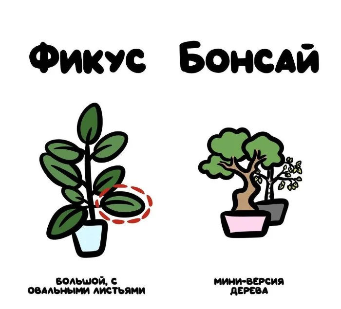 Знай разницу! Различий пост #23