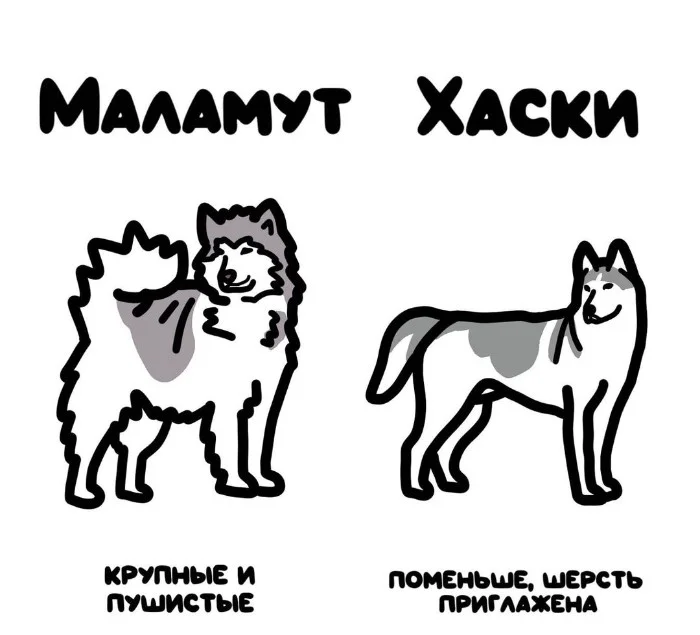 Знай разницу! Различий пост #25