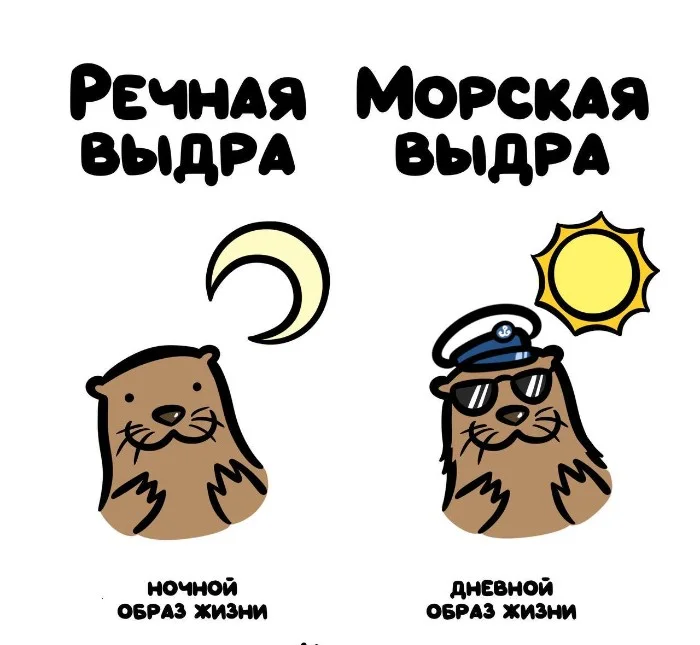 Знай разницу! Различий пост #25