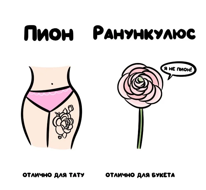 Знай разницу! Различий пост #48