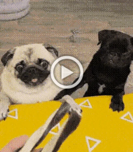 Гиф анимация