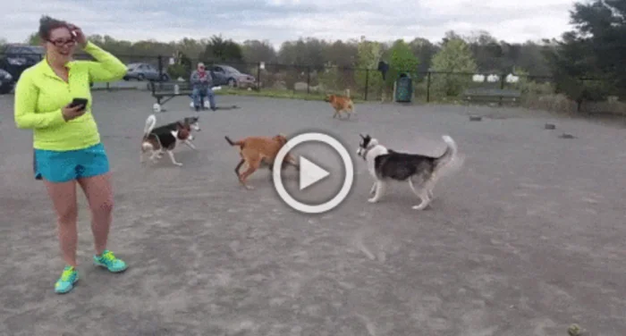 Свежие ГИФки