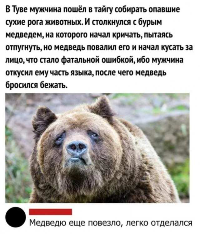 Весело и свежо