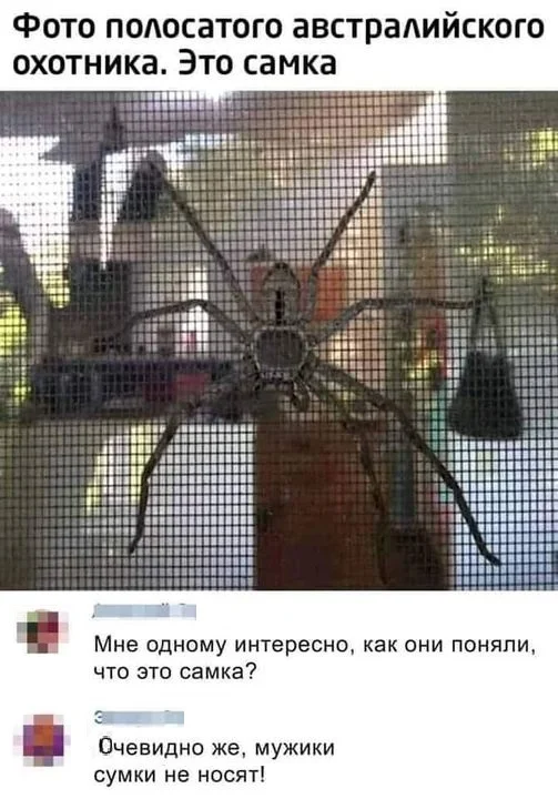 Картинки разные