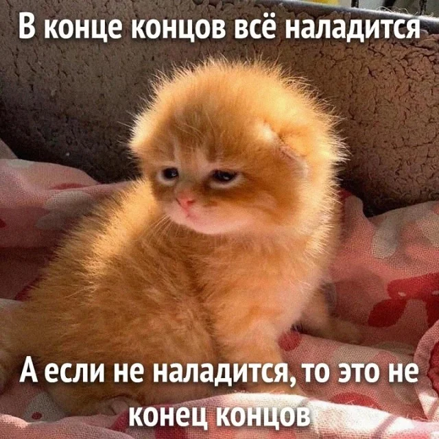 Оборжаться от смеха