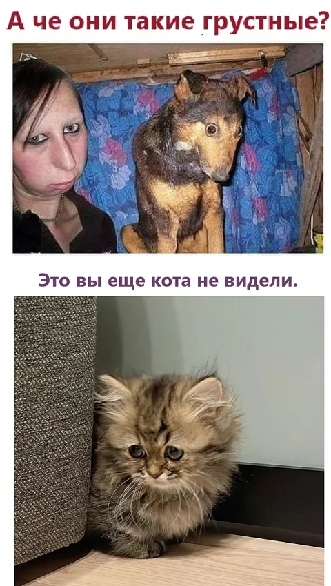 Картинки разные с надписями и без