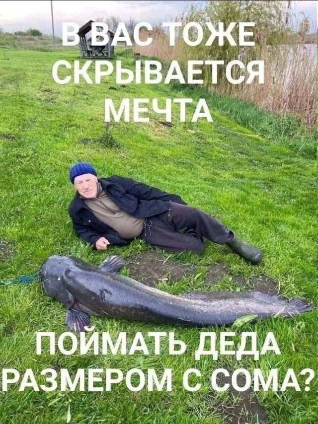 Смешнявые картинки