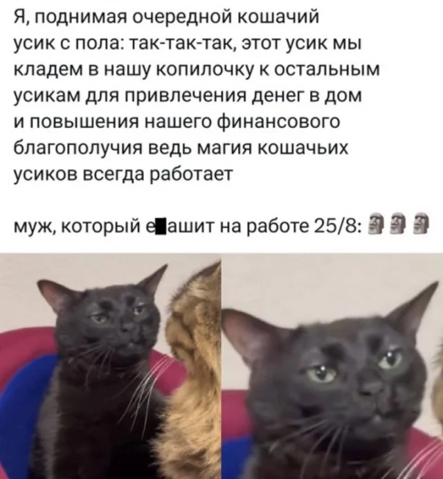 Юмор, который поймут взрослые