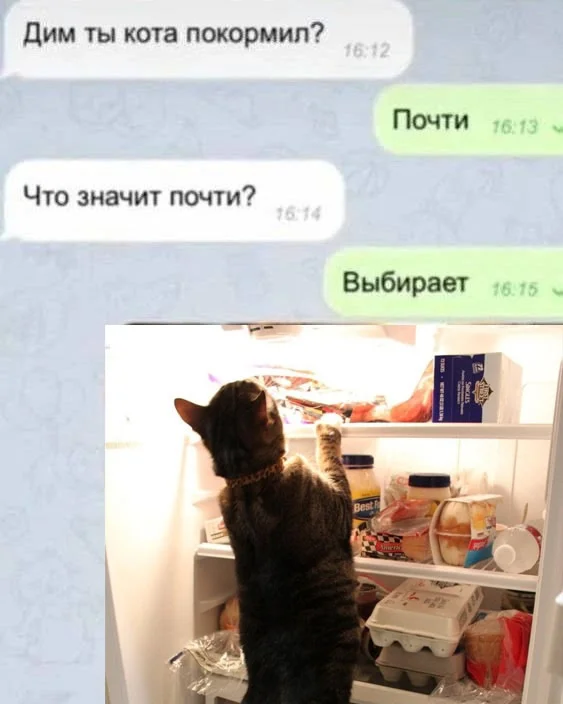 Свежие прикольные картинки