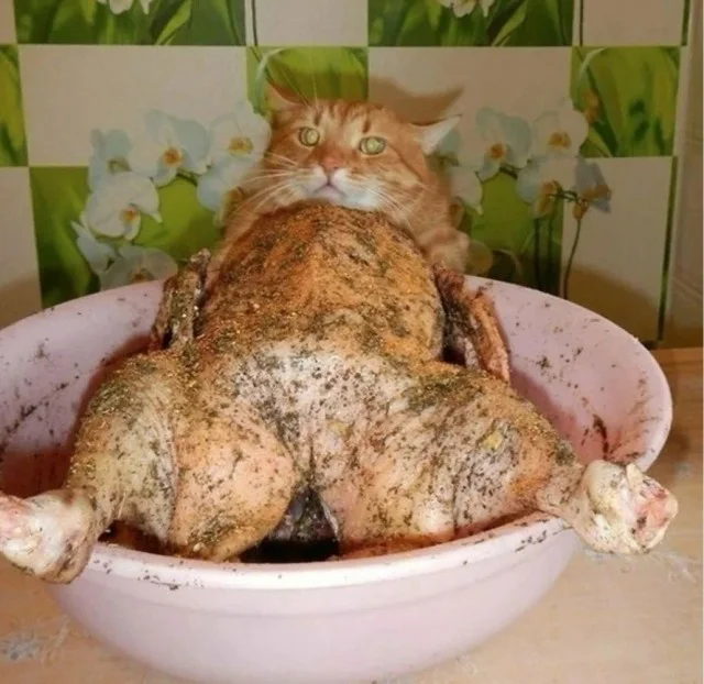 Баянизация сайта: веселые картинки