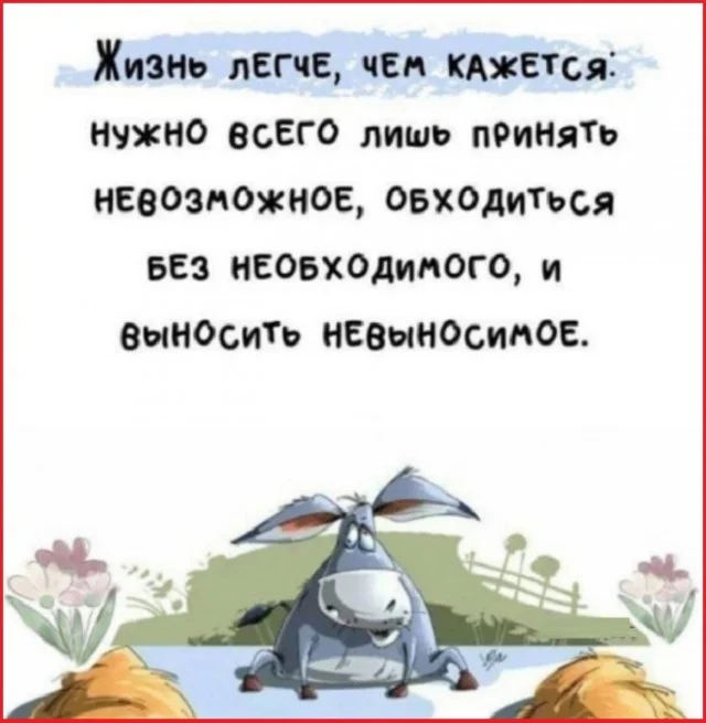 Разные картинки