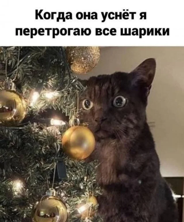 Смешно, свежо и весело!