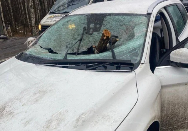 Как в фильме ужасов: бревно пробило авто насквозь