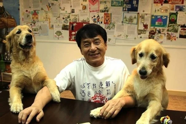 Приколы прикольные