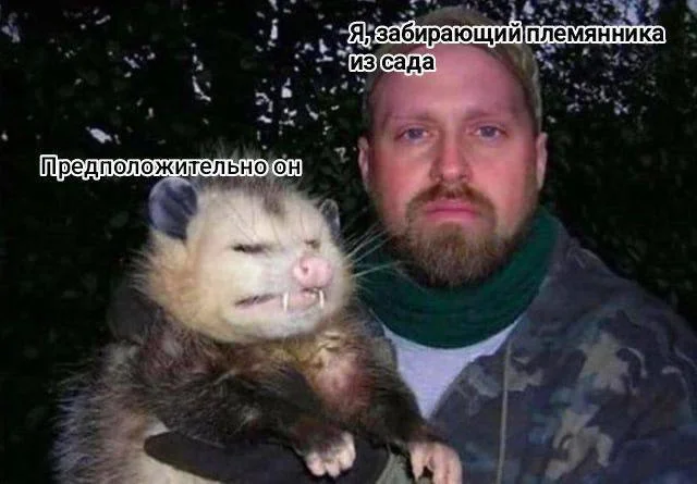 Вы вообще в адеквате? Приколы!