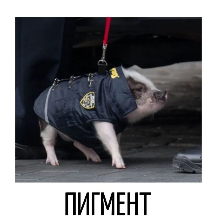 Игра слов #33