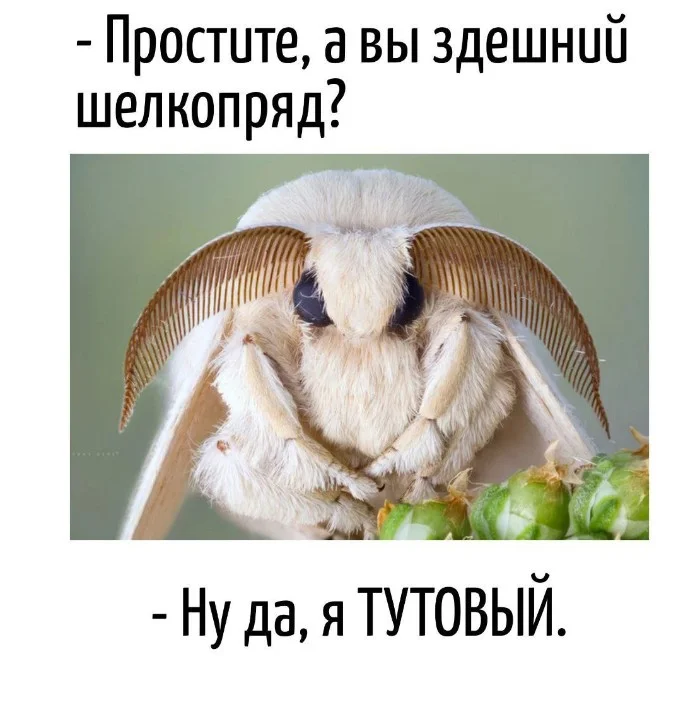 Игра слов #37