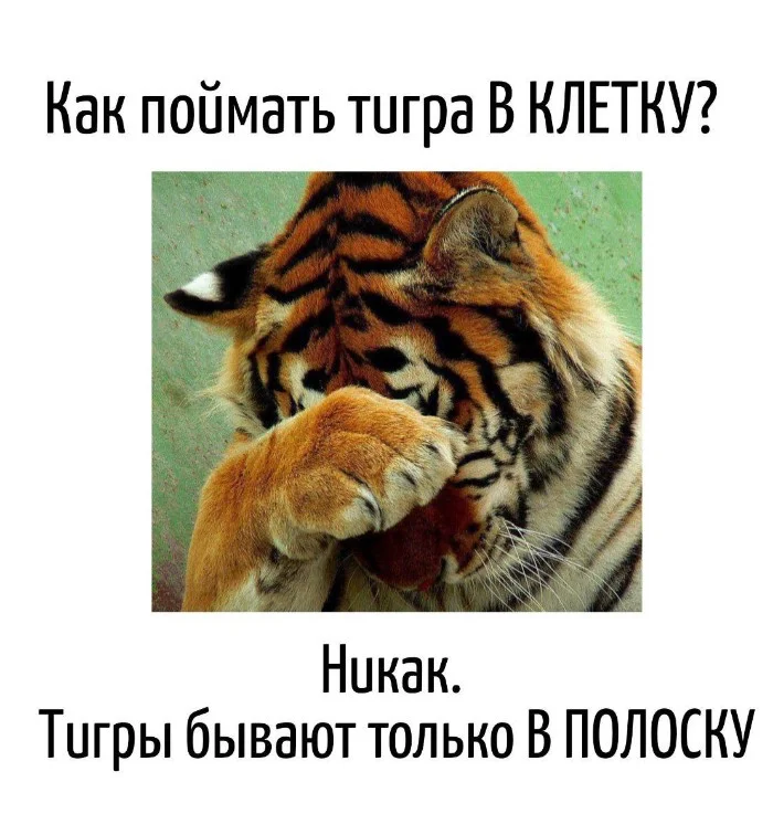 Игра слов #40