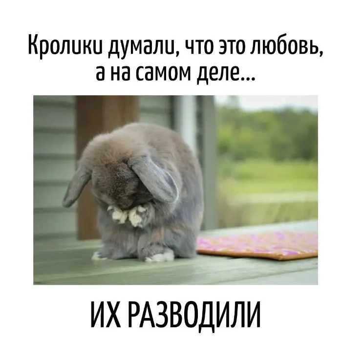 Игра слов #45