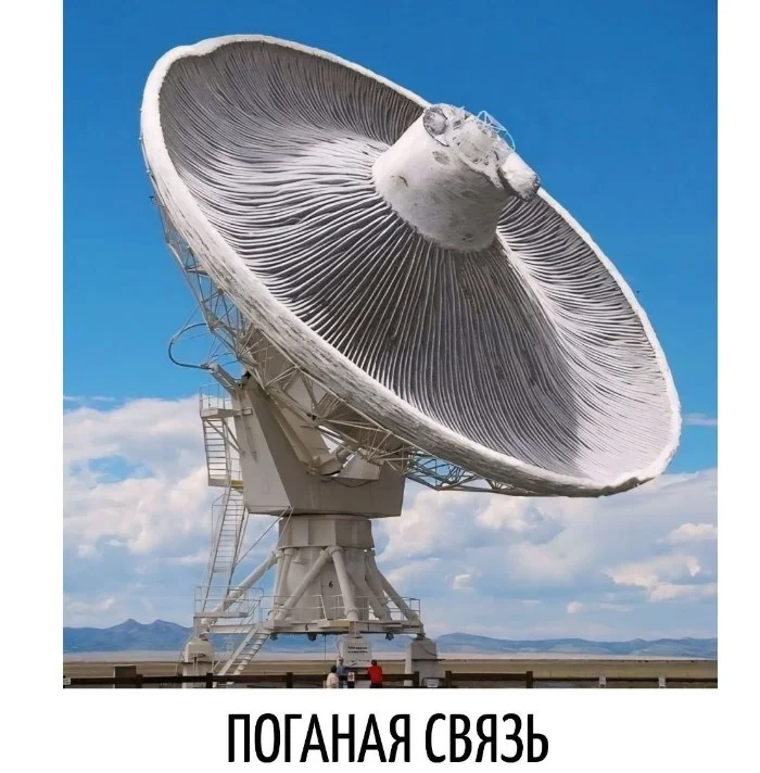 Игра слов #46