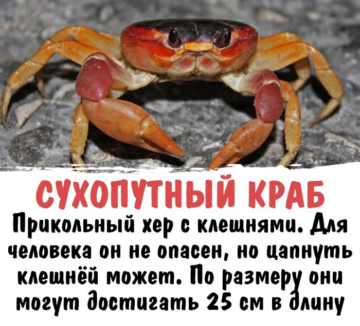 Интересная биология #36