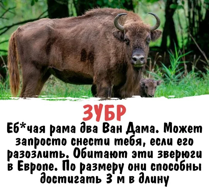 Интересная биология #36