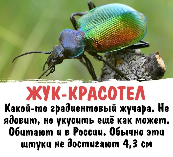 Интересная биология #37