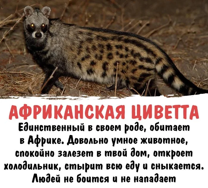 Интересная биология #37