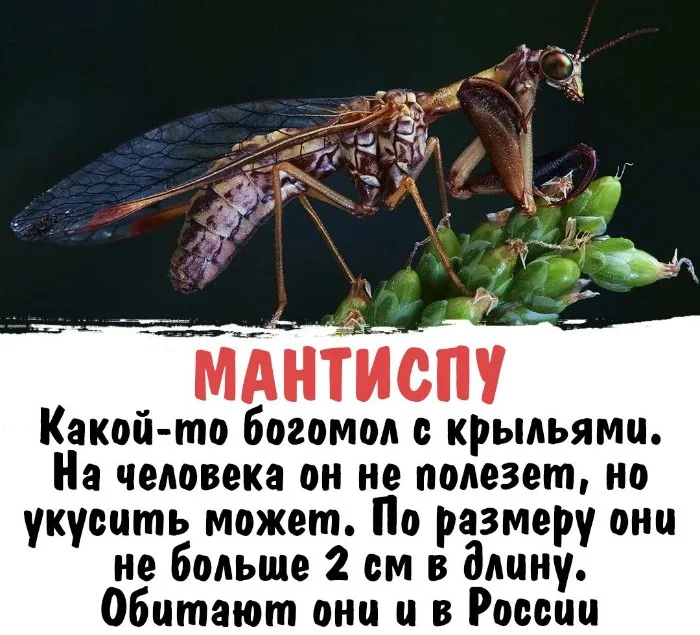 Интересная биология #38