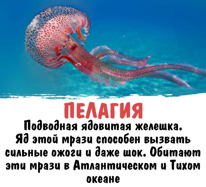 Интересная биология #39