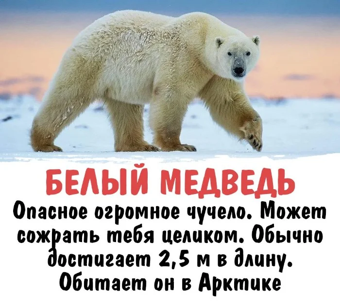 Интересная биология #40