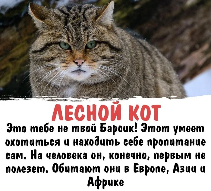 Интересная биология #40