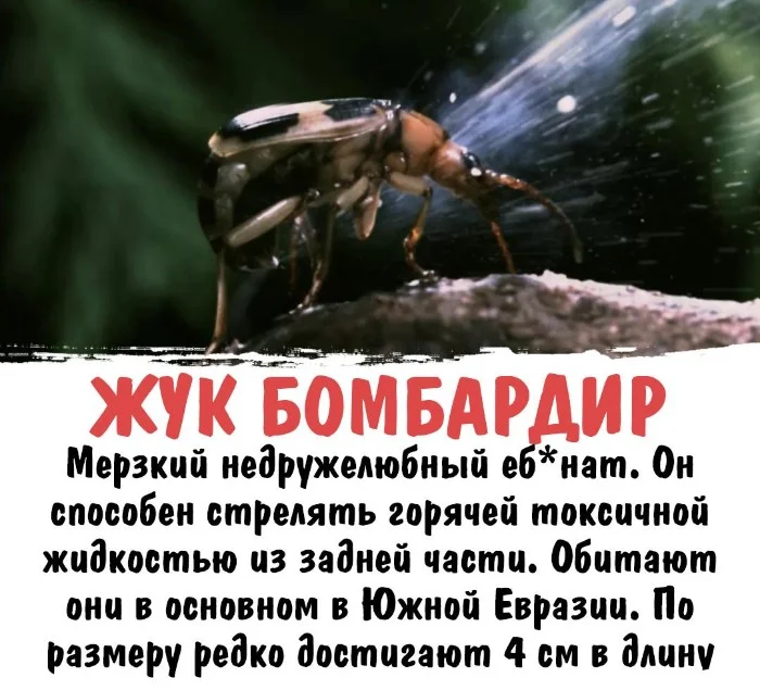 Интересная биология #41