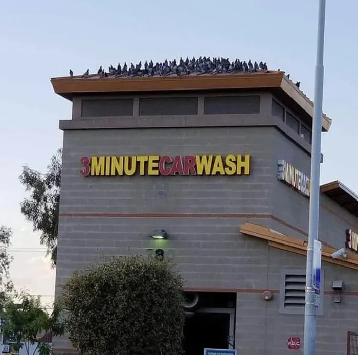 Картинки всяческие.