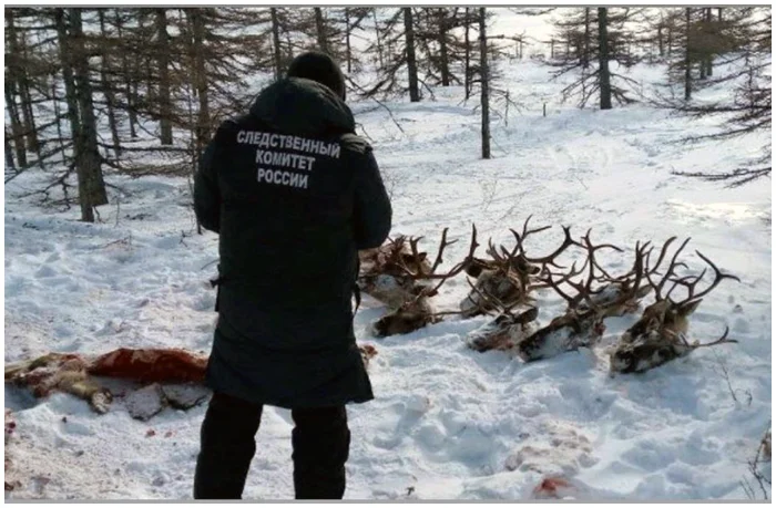 Когда преступление остаётся безнаказанным