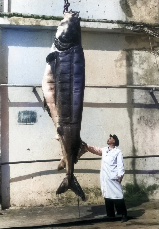 Потрясающие кадры советской эпохи: подборка раскрашенных фотографий