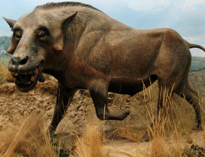 5 самых необычных животных, населявших Землю миллионы лет назад