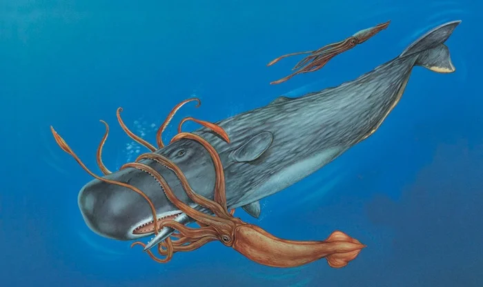 Кто оставляет шрамы на кашалотах? Тайна их подводных сражений