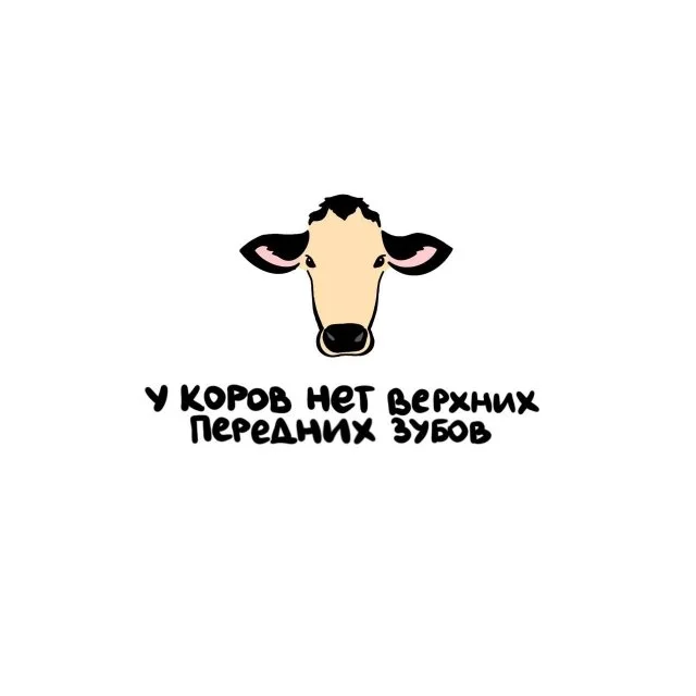 Факты, которые удивят вас