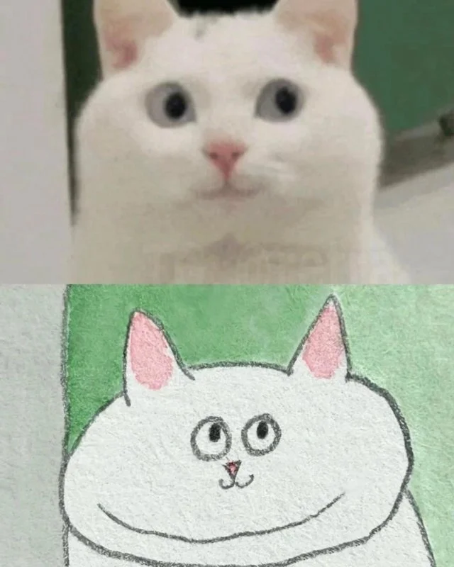 Кошачье искусство: коллекция лучших шедевров