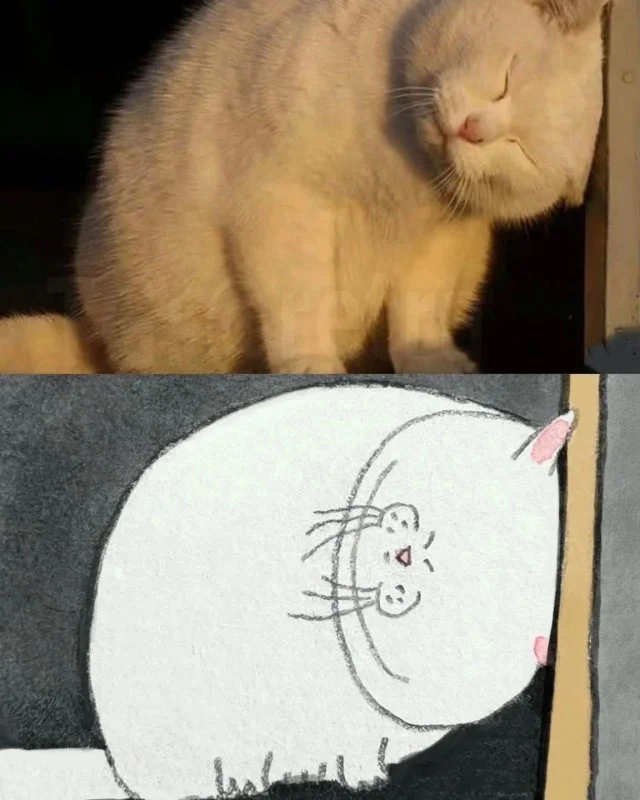 Кошачье искусство: коллекция лучших шедевров