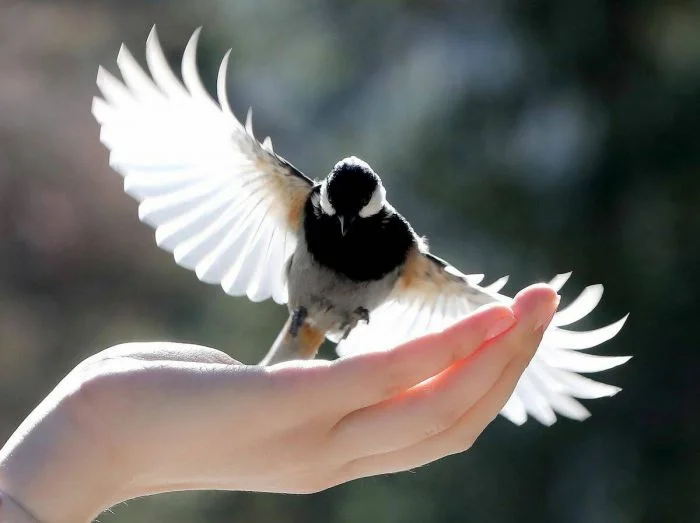 Картинки на общую тему