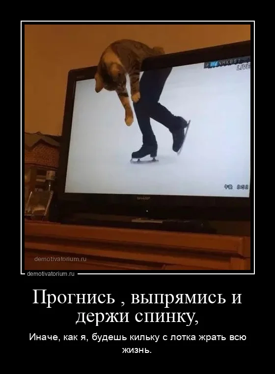 Демотиваторы для всех