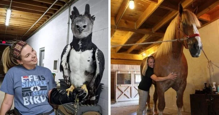 Мощь природы: 14 впечатляющих снимков животных